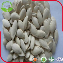 Wholesale All Kinds Pumpkin Seeds